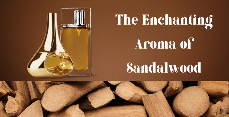 Enchanting Aroma of Sandalwood