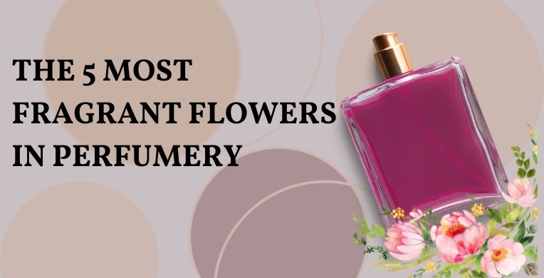 5 Most Fragrant Flowers In Perfumery