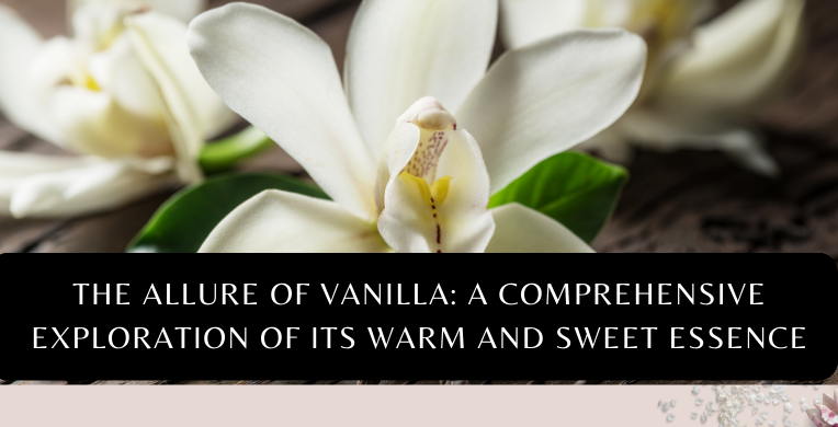 A Comprehensive Exploration of its Warm and Sweet Essence